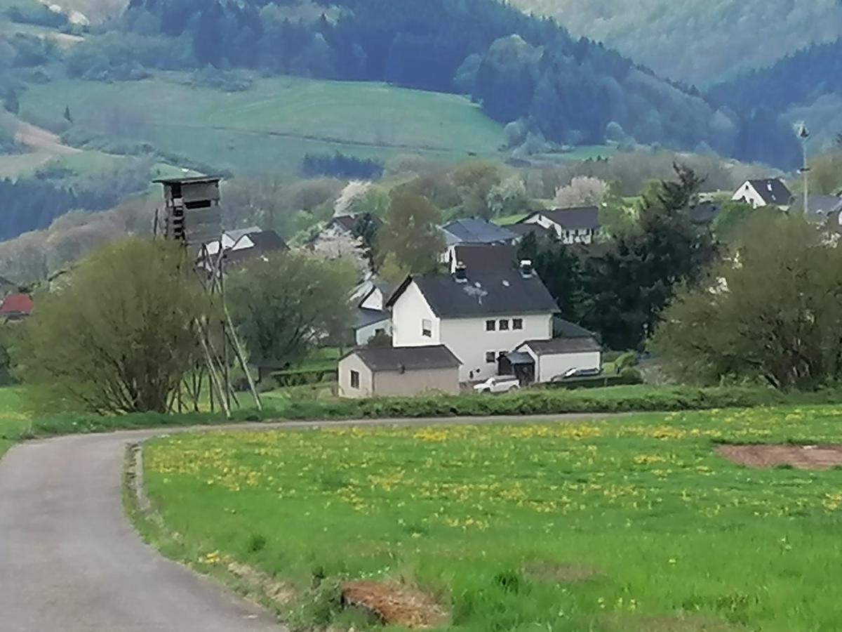 Ferienhaus Eifelmomente 盖罗尔施泰因 外观 照片